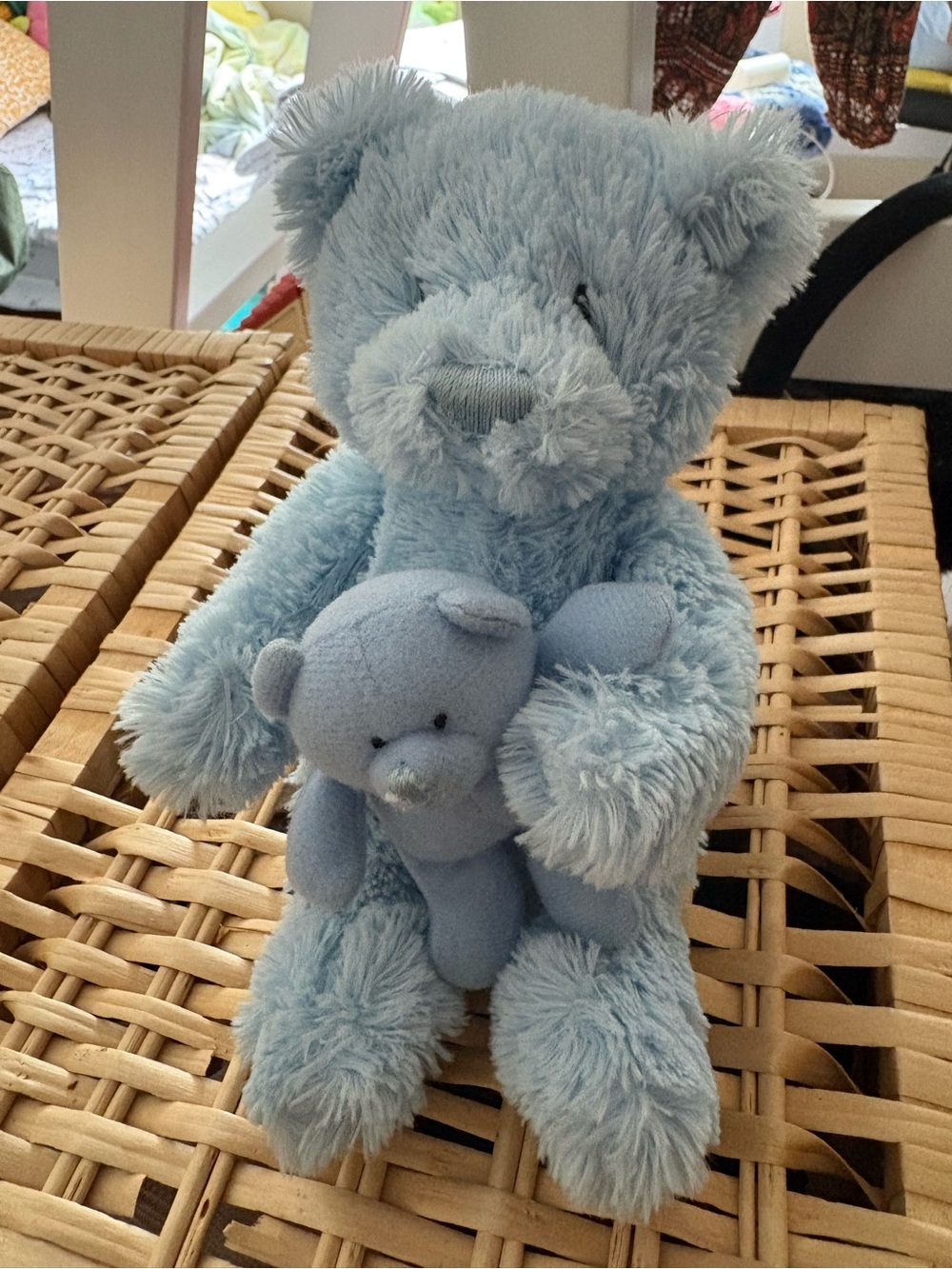 Blue Teddy bear Plush